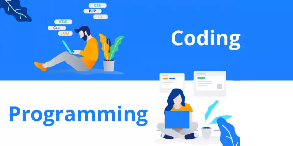 Programming Coding Website Designing